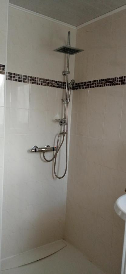 Ok Ferien - Altes Bahnhaus Daire Muldenhammer Dış mekan fotoğraf